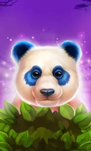 Luck of Panda: Bonus Combo